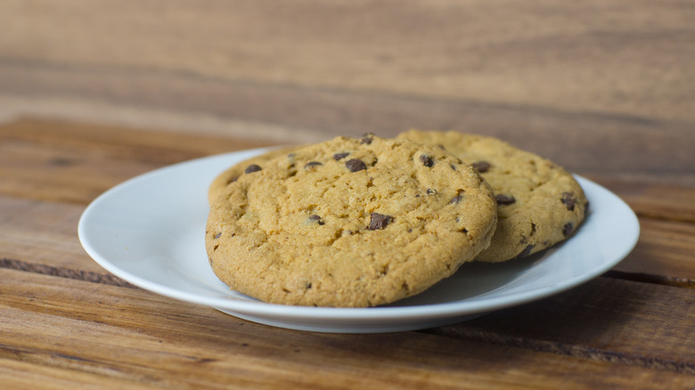 Chocolate chip cookies on a white plate