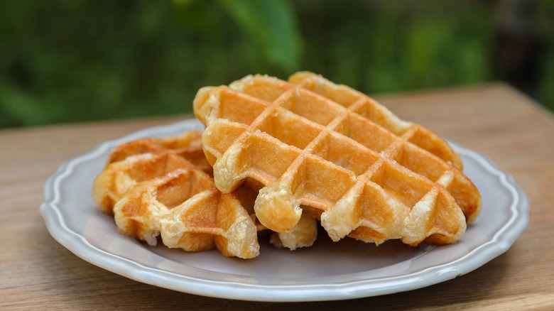 pair of waffles on plate