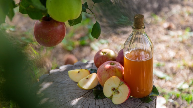 apple cider vinegar outside by apple tree