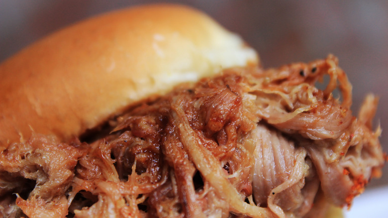 barbecue pulled pork sandwhich