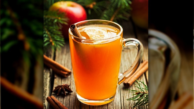 Hot toddy with cinnamon stick