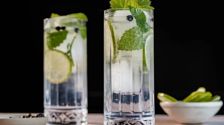 gin and tonic with mint