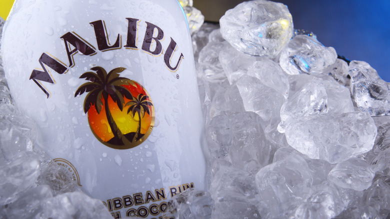 Malibu rum bottle in ice