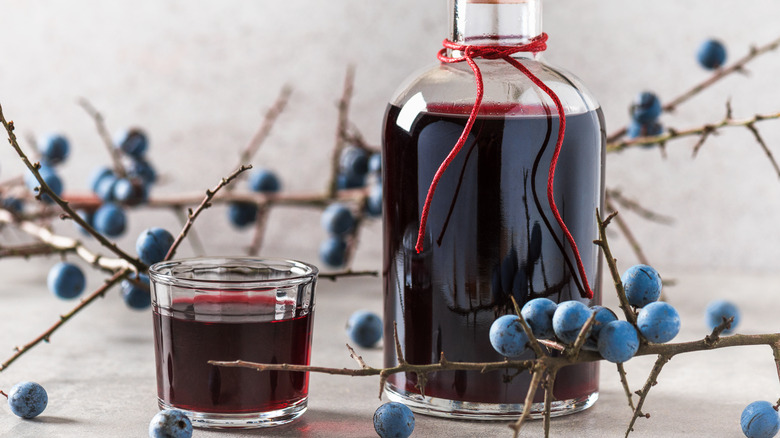 Sloe berry alcoholic drink