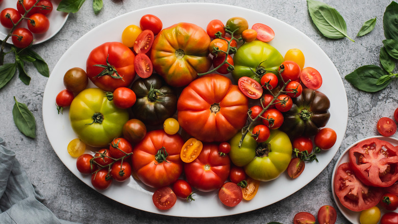 platter of various tomatoes