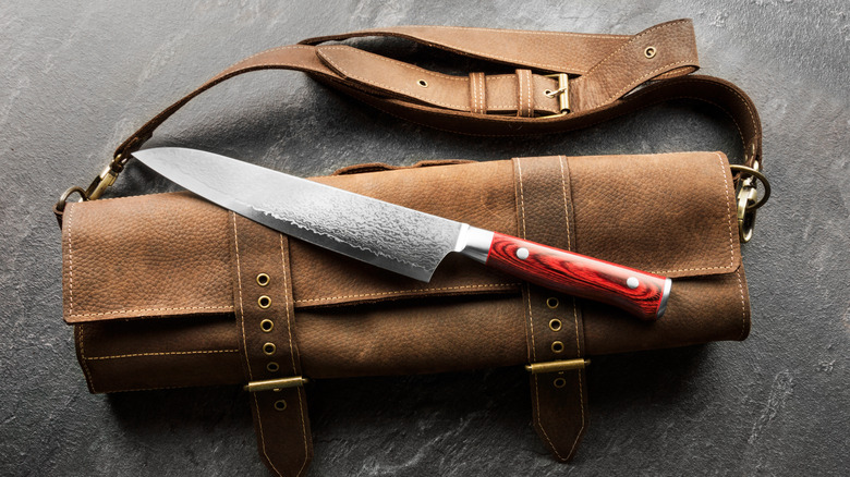 Chef's knife and case