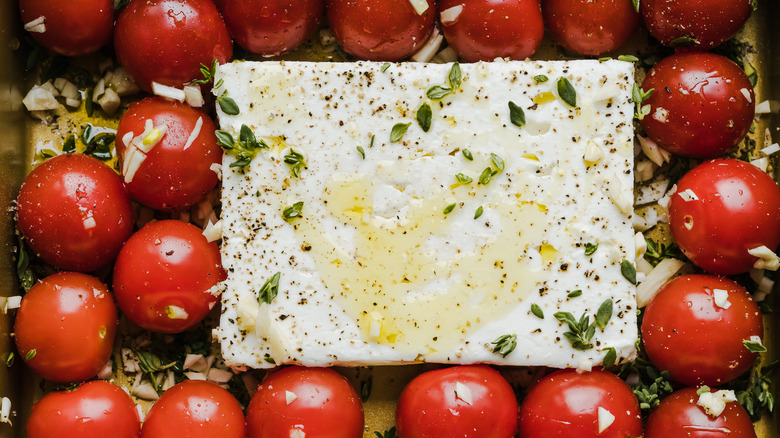 feta cheese surrounded by tomatoes 