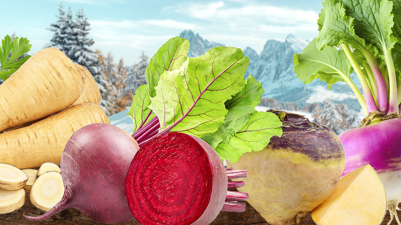 various root vegetables in front of a wintry mountain scene