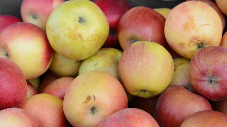 Jonagold apples in basket 