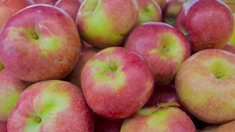 Macoun apples in container