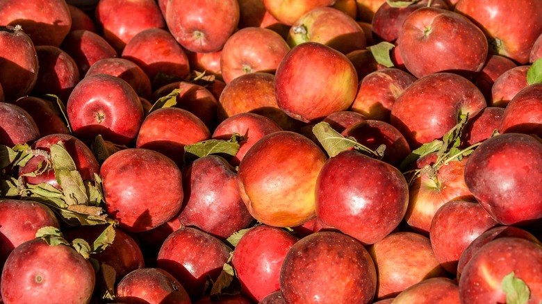 Winesap apples in crate