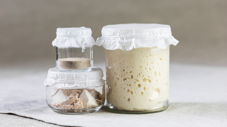 Yeast on counter