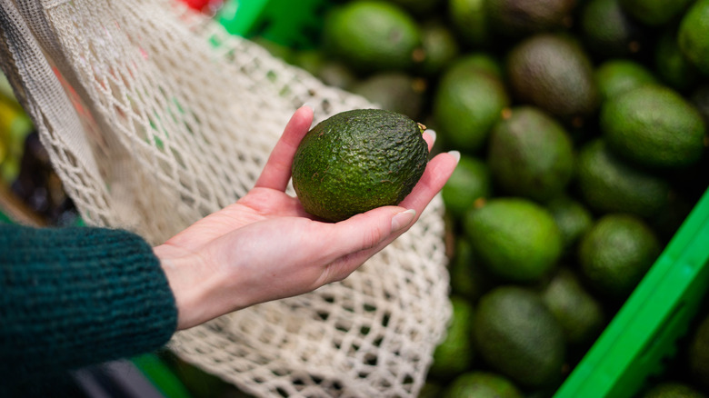 Person holding an avocado 