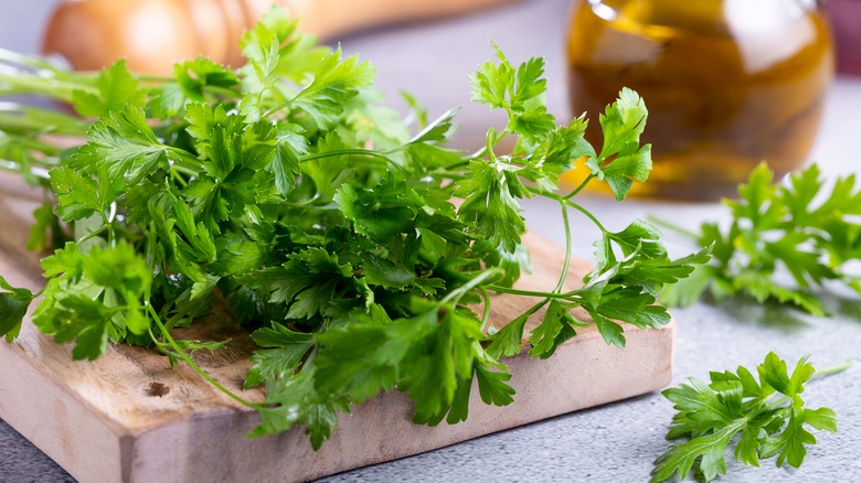 Italian green parsley on table