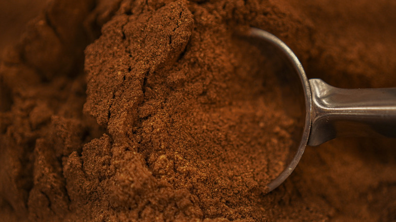 Scoop of ground cinnamon powder