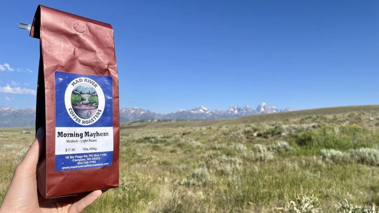 Bag of coffee beans in front of green field