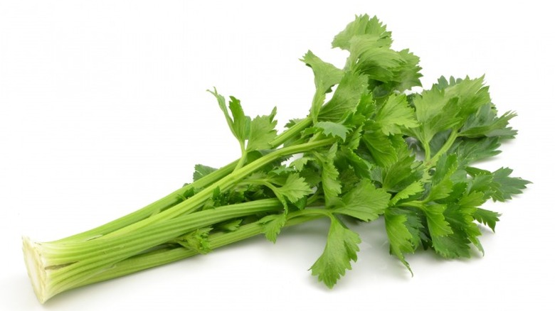 celery leaves on white background