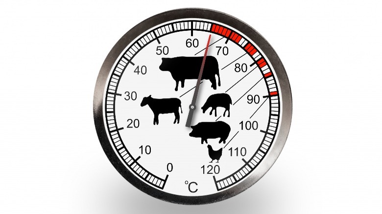 Meat thermometer in celsius