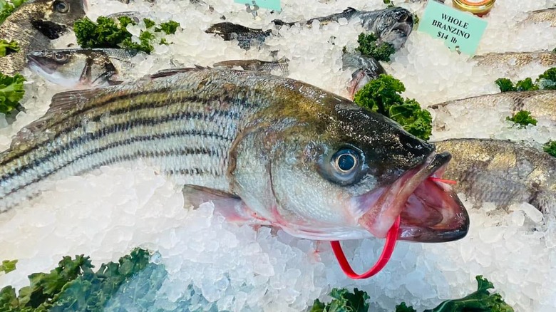 Whole fresh fish on ice at Dorian's