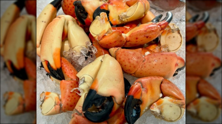 Stone crabs on ice at Mermaid's Garden