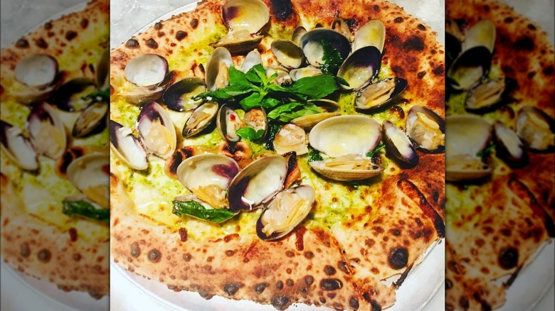 Nino's 46 clam pizza