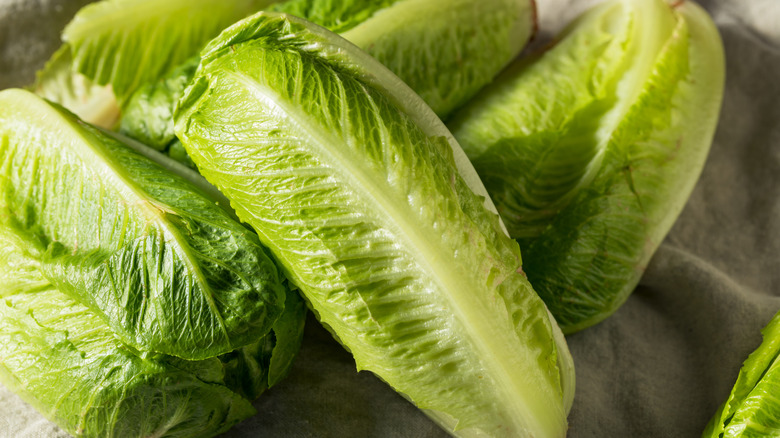 heads of romaine lettuce