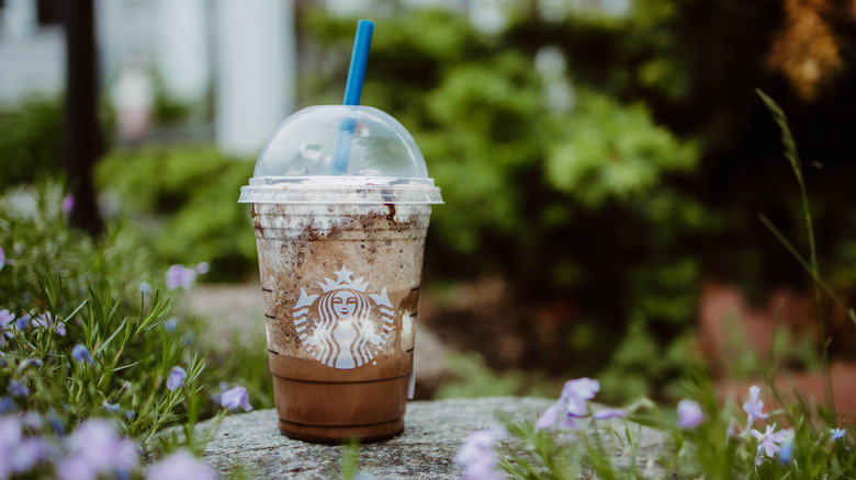 Cookie frappuccino amid flowers