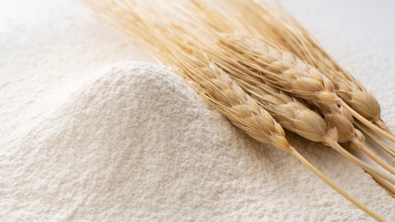 Wheat stalks in a pile of flour 