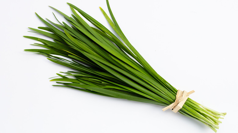 Bunch of chives on white background