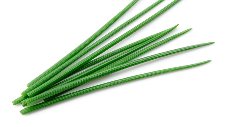 chives on white background