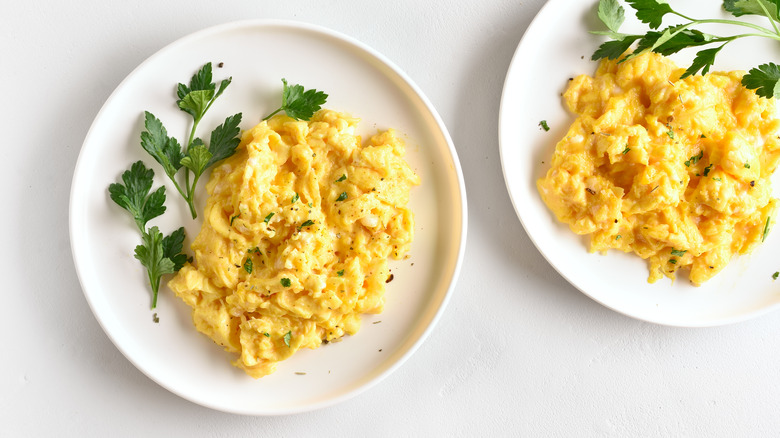 Scrambled eggs white plate flat leaf parsley