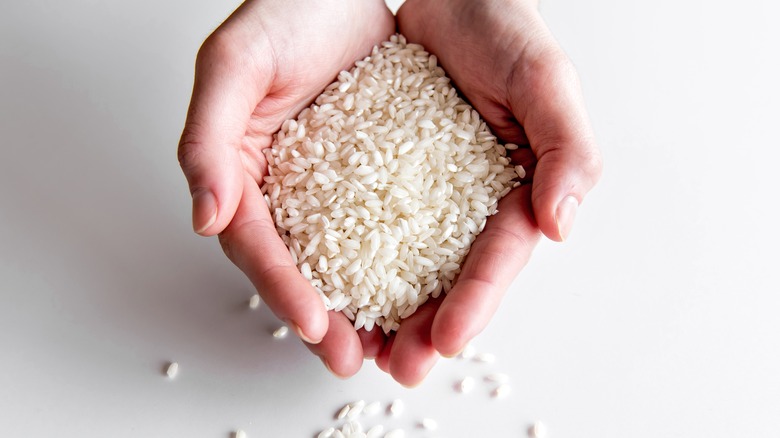 arborio rice in hands