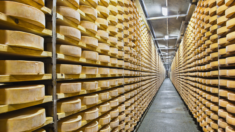 Fontina cheese aging