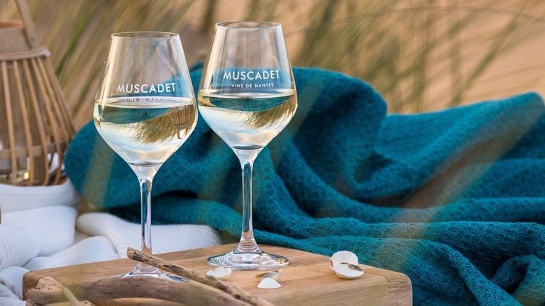 Glasses of Muscadet wine