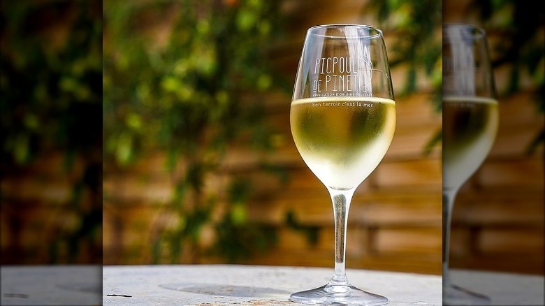 Glass of Picpoul de Pinet