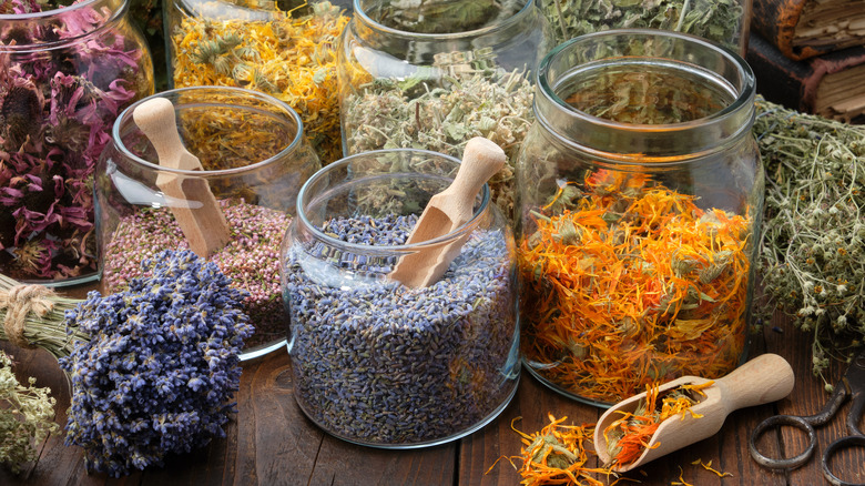 Dried flowers and herbs