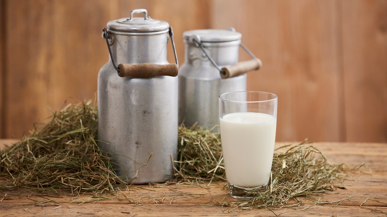 Glass and pitchers of milk on hay