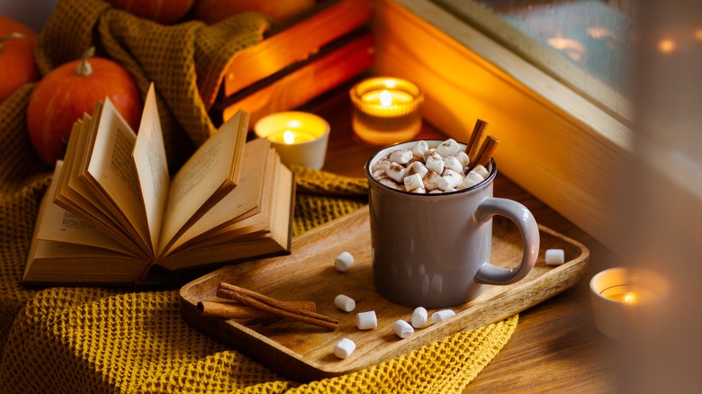 Hot cocoa with marshmallows