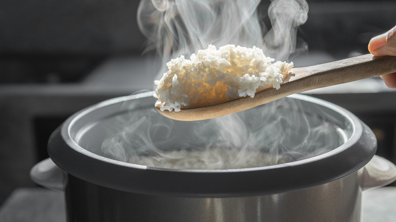 cooked white rice on spoon