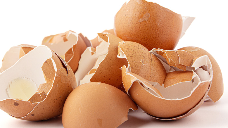 egg shells