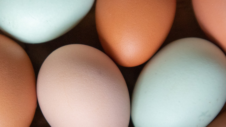 Brown and white farm eggs