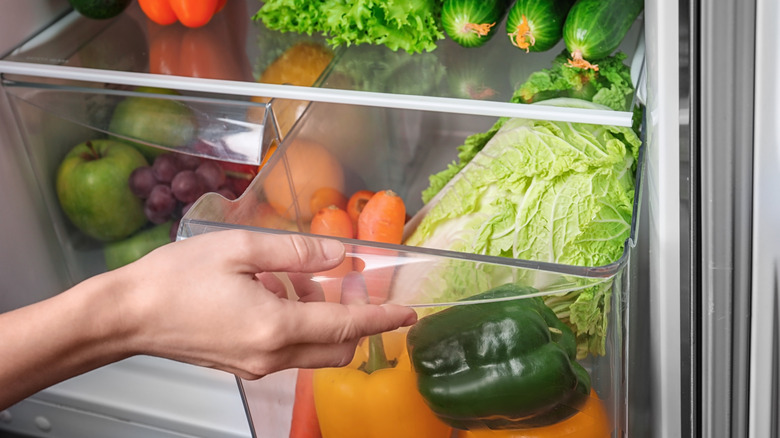 fridge crisper drawer filled with produce