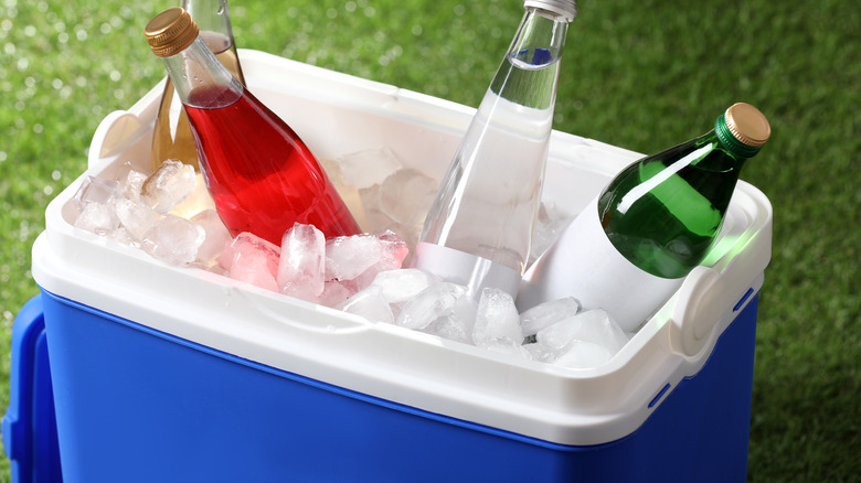 Cooler with drinks