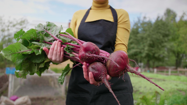 a woman holding large beets