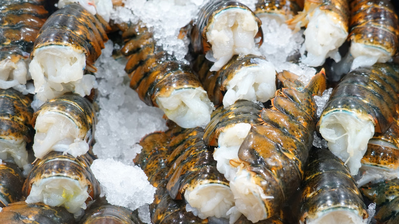 Raw frozen lobster tail