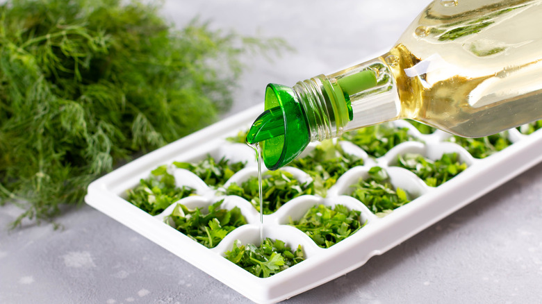 Herbs frozen in tray