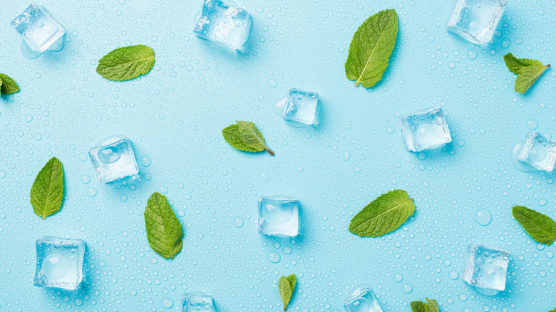 Mint leaves and ice cubes