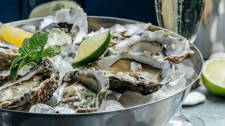 Oysters on the half shell