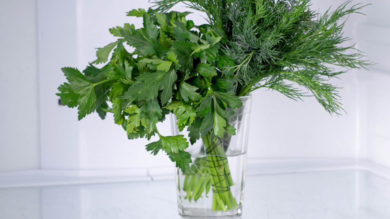 parsley and dill in jar inside fridge