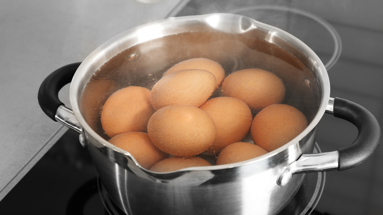 eggs in pot of water